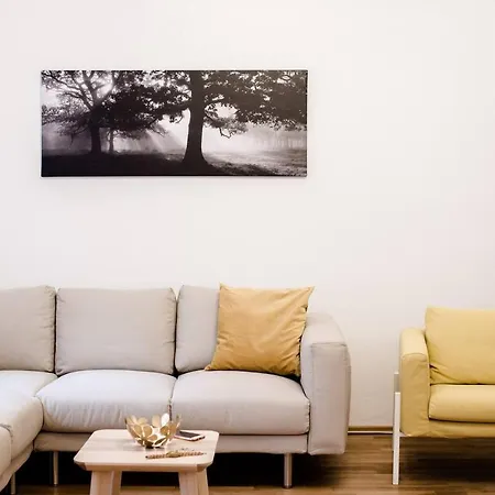 Huge, Central For 8 People Apartment